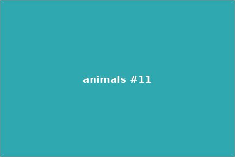 Animals Scene 11