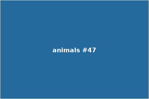 Animals Scene 47