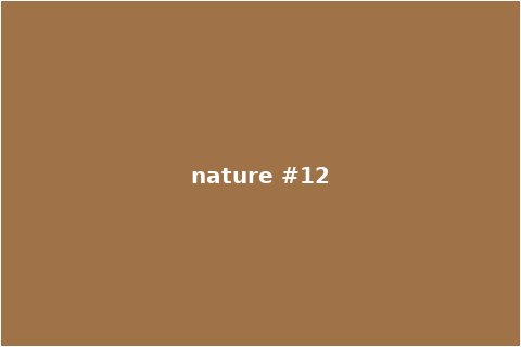 Nature Scene 12