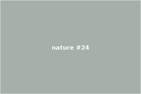 Nature Scene 24